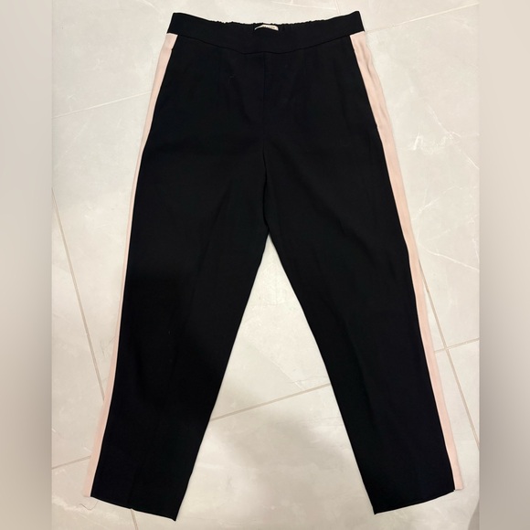 Aritzia Babaton - Terado Conan Pant - Picture 3 of 6